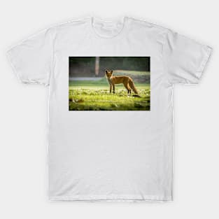 Foxy Lady T-Shirt